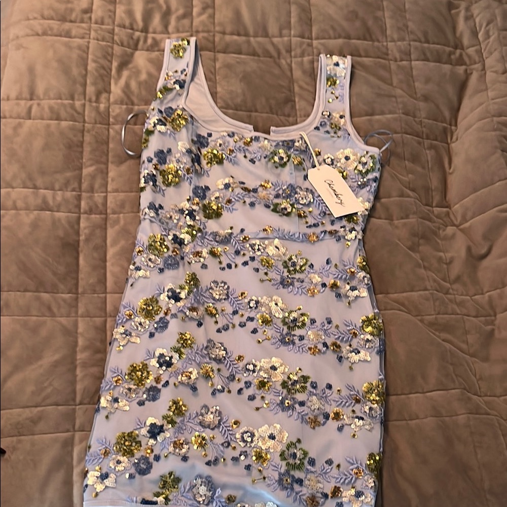 Floral Embellished Dress